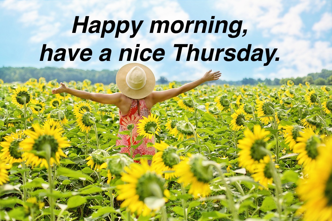 Happy morning, have a nice Thursday.